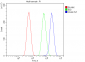 Anti-CD44 Picoband™ Antibody (monoclonal, 7H7)